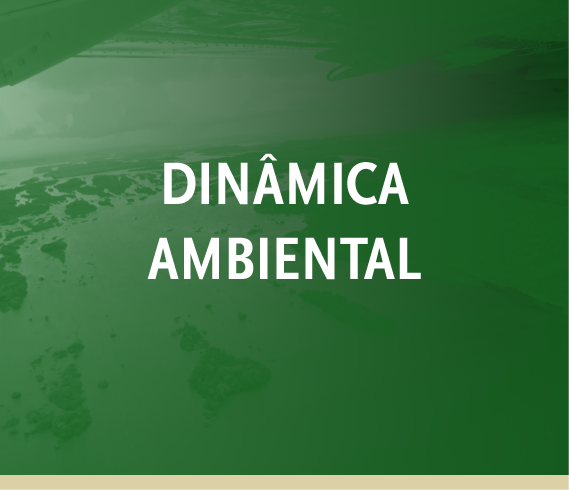 capa pesquisa-03.png