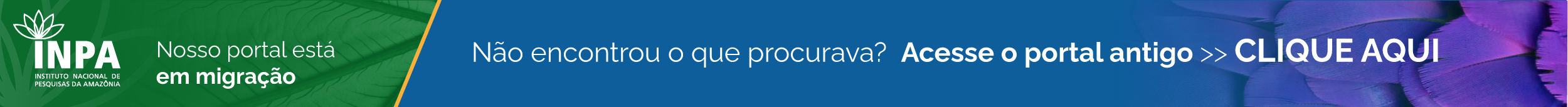 banners portal-01.png