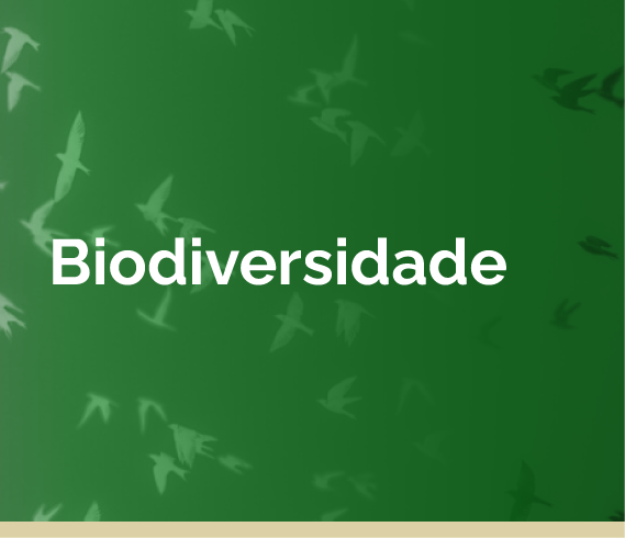 Biodiversidade