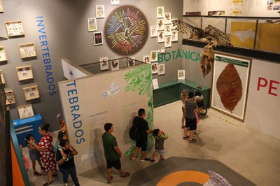 Retorno bosque -Mateus Senna (7)-2.jpg