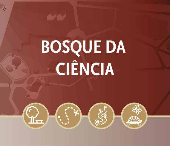 banners portal-13.png