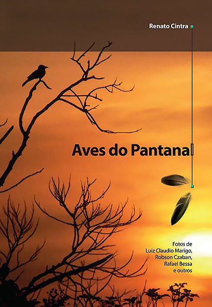 aves do pantanal.jpg