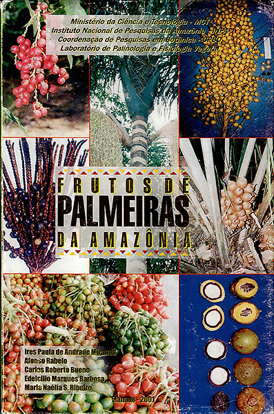 frutos de palmeiras da amazonia.JPG