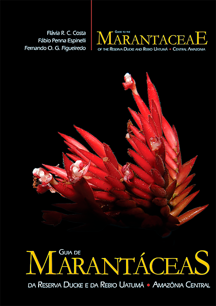 Guia de Marantáceas.png