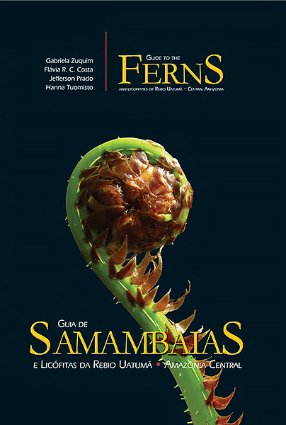 guia de samambaias.jpg