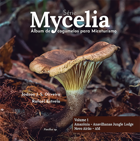 mycelia