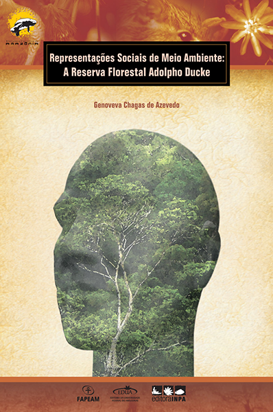 representações sociais de meio ambiente_.png