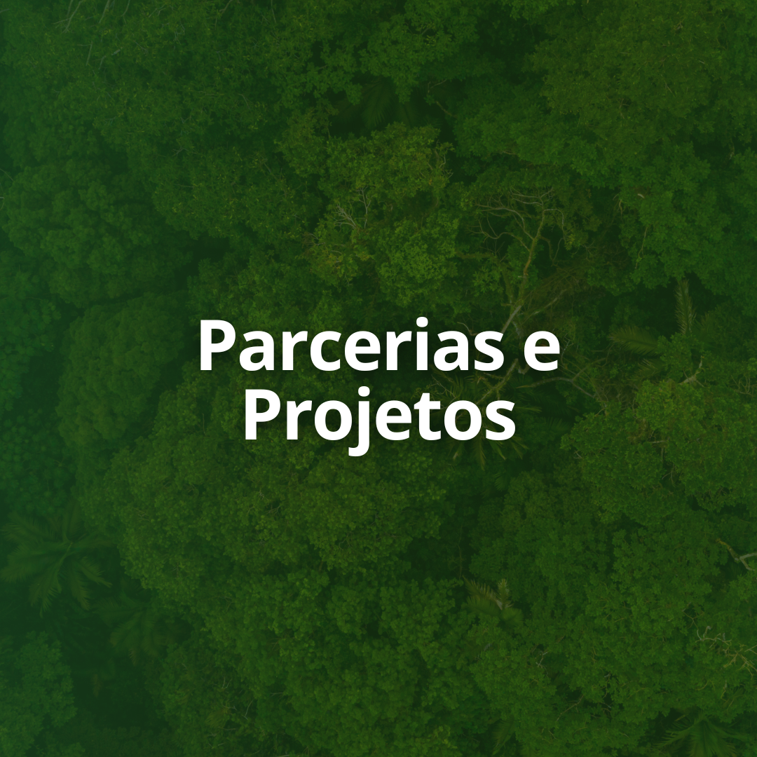Projetos