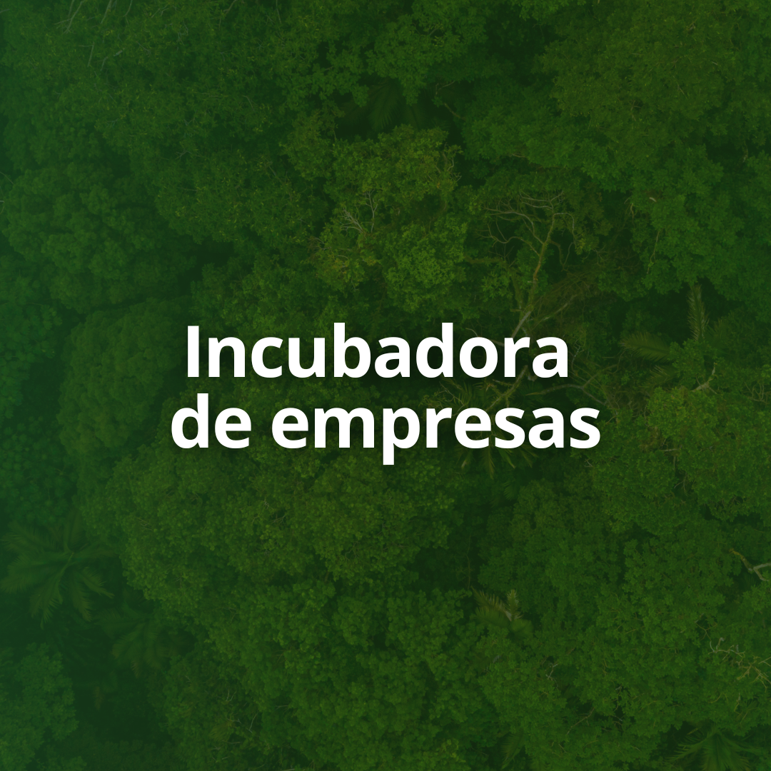 Incubadora