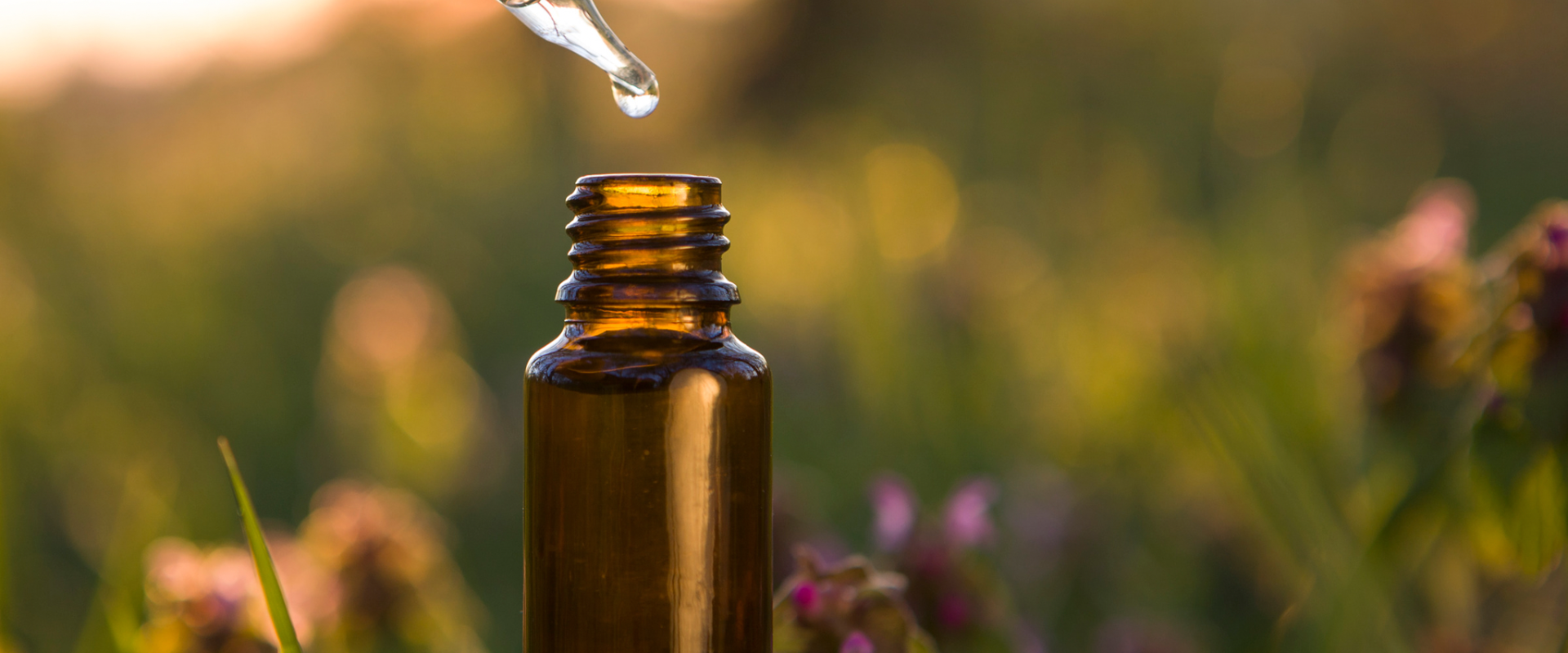 composições nanohíbridas.png