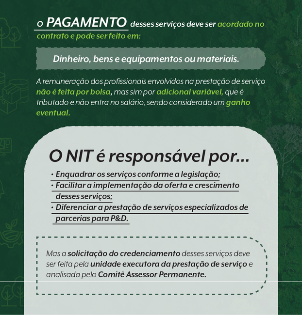 Pancheta 4