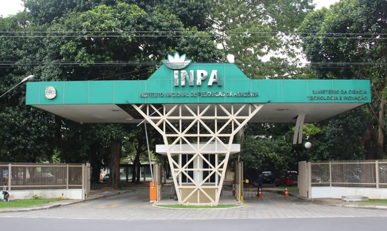 Foto: Victor Mamede/Inpa