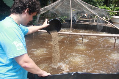 bioflocos - piscicultura - LAFAP - Foto Cimone Barros - ASCOM INPA (42).JPG