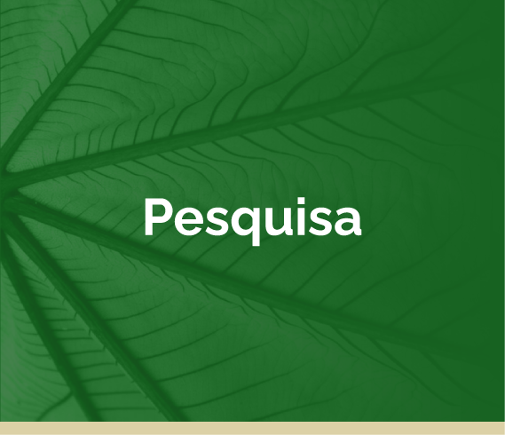 Pesquisa