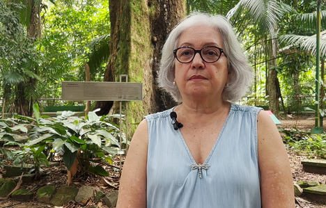 Maria Inês Higuchi_Lapsea_Foto ASCOM INPA1.png