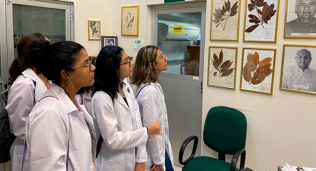 Participantes do programa “Futuras Cientistas” visitam laboratórios e áreas de pesquisas do Inpa