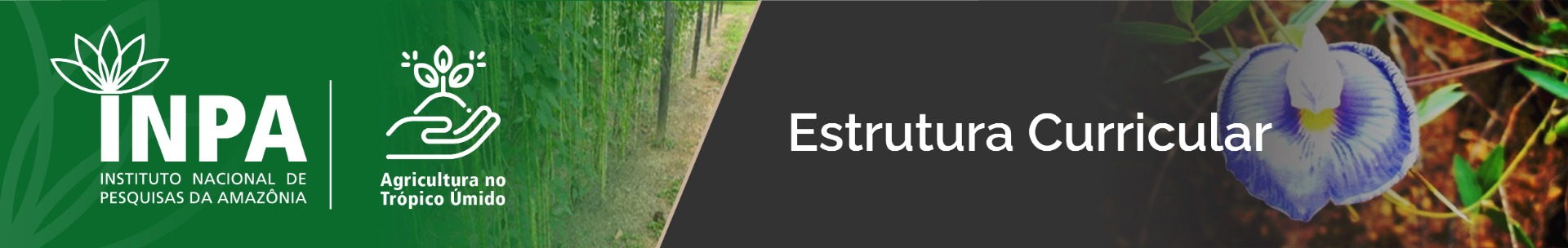 banner-ppgatu-topo-estrutura-curricular.jpg