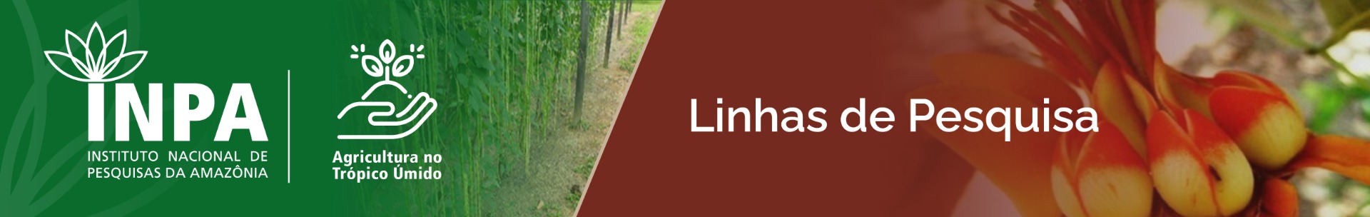 banner-ppgatu-topo-linhas-de-pesquisa.jpg