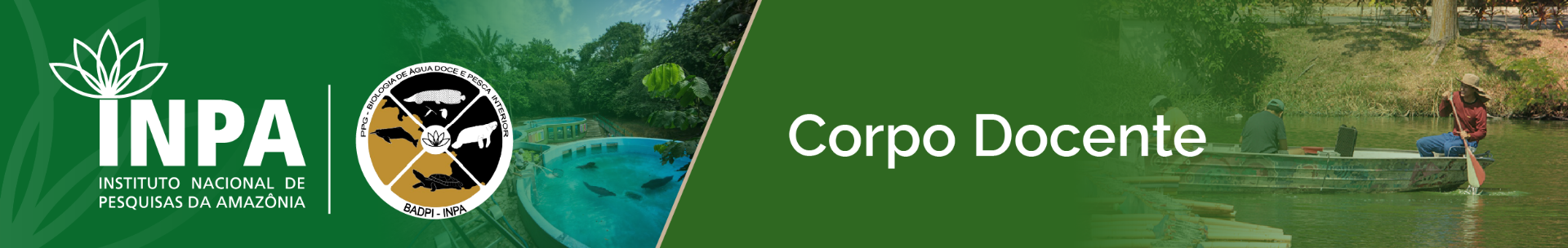 banner-badpi-topo-corpo-docente.png