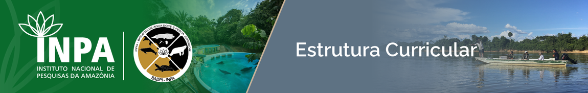 banner-badpi-topo-estrutura-curricular.png