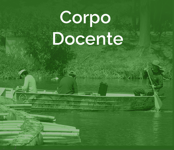 1_banner-badpi-quadrado-corpo-docente.png