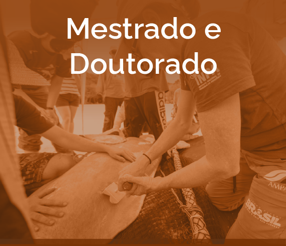 1_banner-badpi-quadrado-mestrado-e-doutorado.png