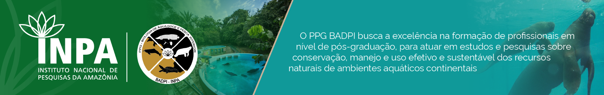 banner-badpi-topo-principal.png