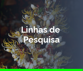 banners portal-04.png