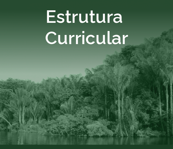 banner-cft-quadrado-estrutura-curricular.png