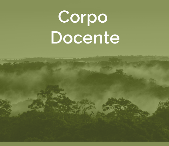banner-cliamb-quadrado-corpo-docente.png