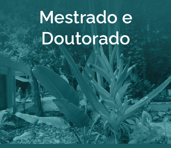 banner-cliamb-quadrado-mestrado-e-doutorado.png