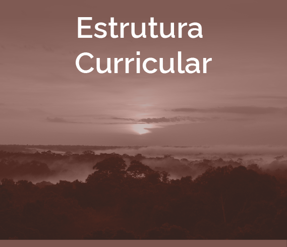 banner-cliamb-quadrado-estrutura-curricular.png