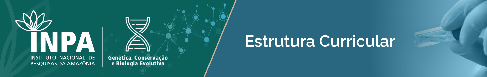banner-gcbev-topo-estrutura-curricular.png