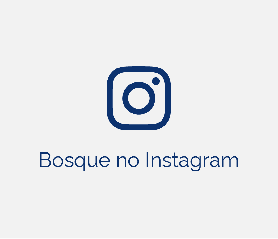 Bosque no Instagram