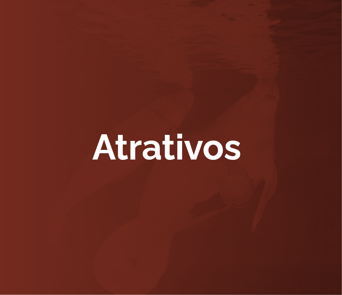 Atrativos