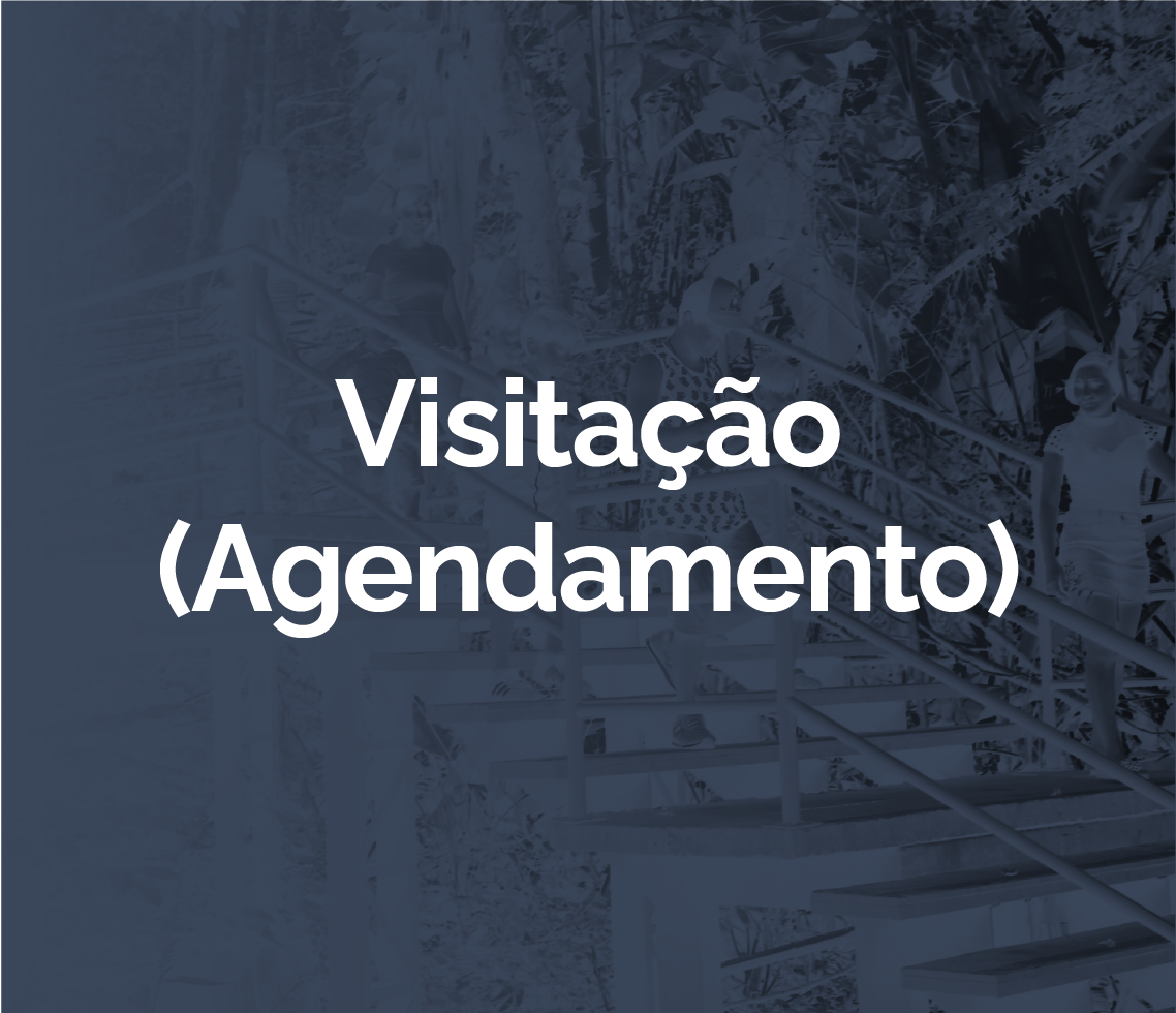 Visitação (Agendamento)