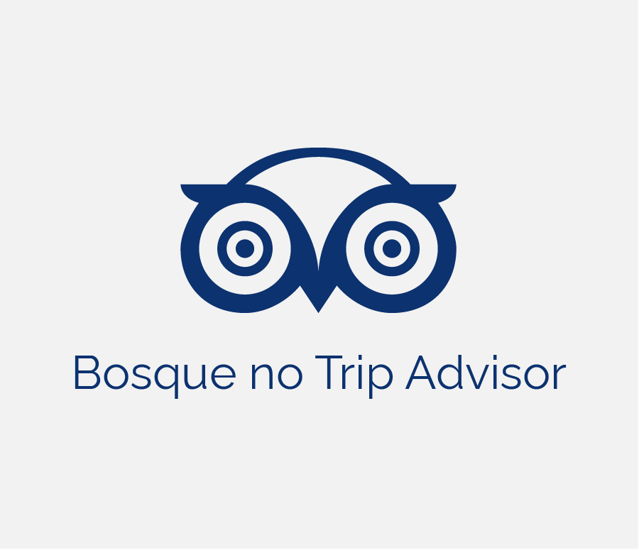 Bosque no Trip Advisor