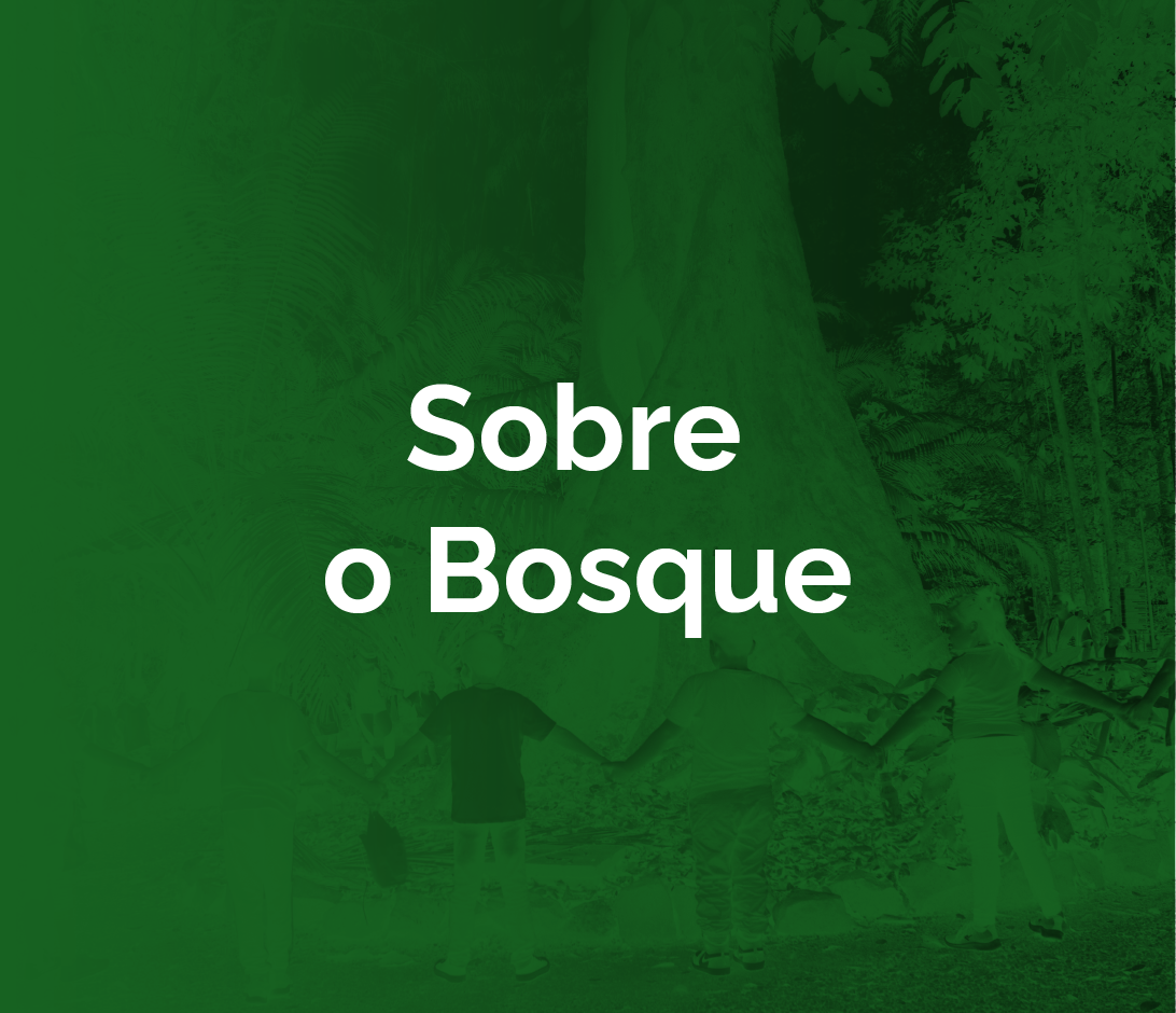 Sobre o Bosque