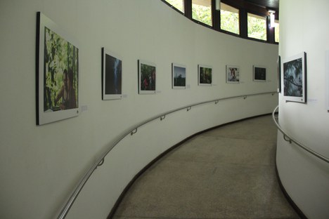 Exposição AmazonFACE