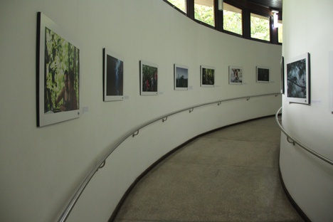 Exposição AmazonFACE
