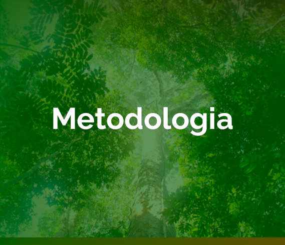 banner-metodologia.png