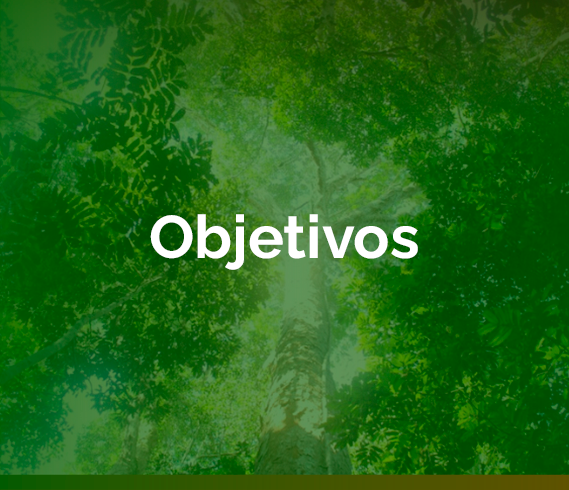 banner-obejtivos.png