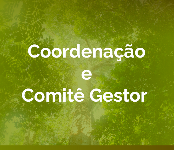 banner-coordenacao.png
