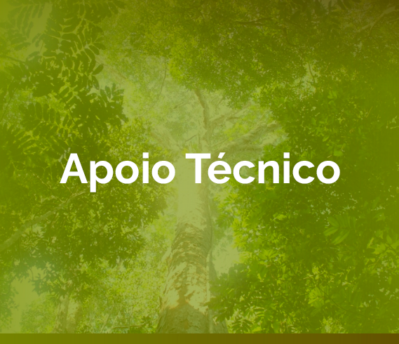 banner-apoio-tecnico.png