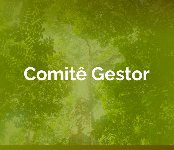 banner-comite-gestor.png