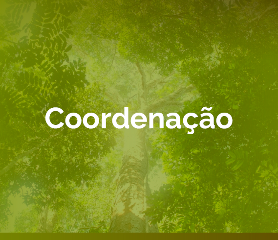 banner-coordenacao.png