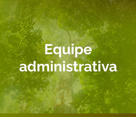 banner-equipe-administrativa.png