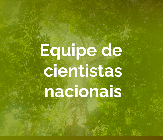 banner-equipe-cientias-nacionais.png