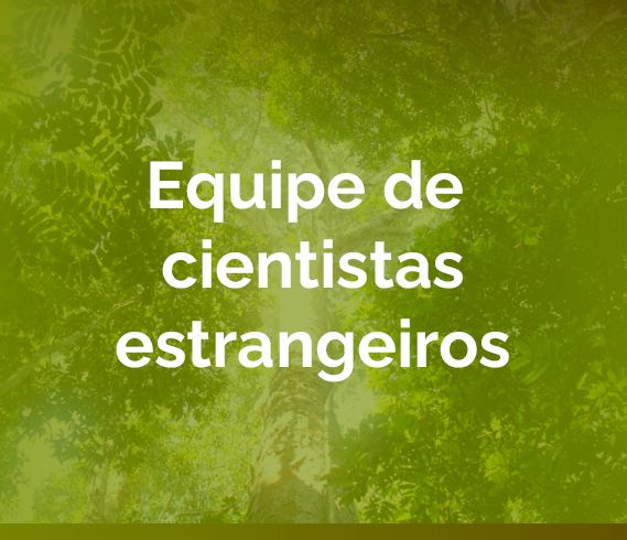 banner-equipe-cientistas-estrangeiros.png