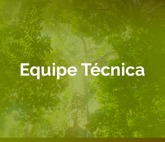 banner-equipe-tecnica.png